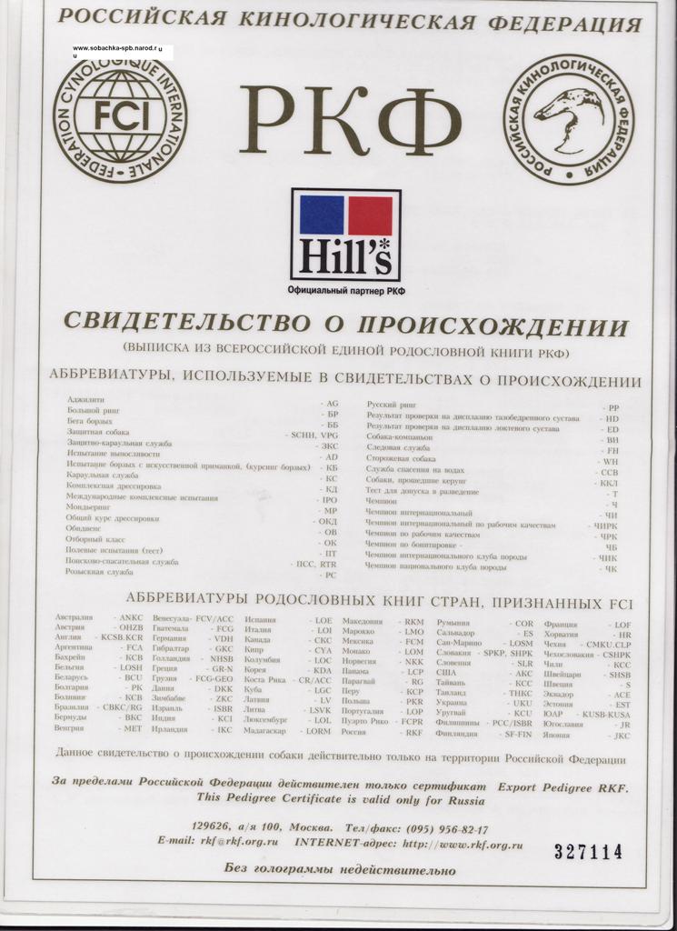Подарки и сувениры. Более 5000 наименований. Надувные батуты Открытка с Днем Рождения подруге своими руками